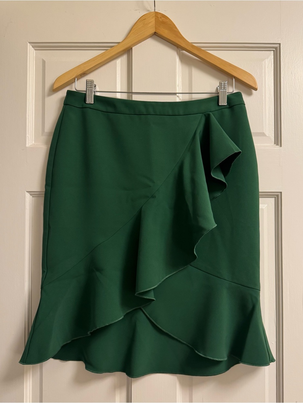NWT Ann Taylor Skirt (8P)